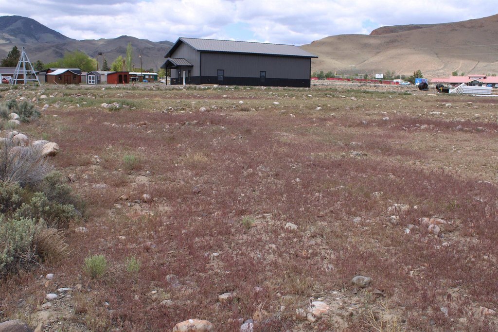 Picture 30