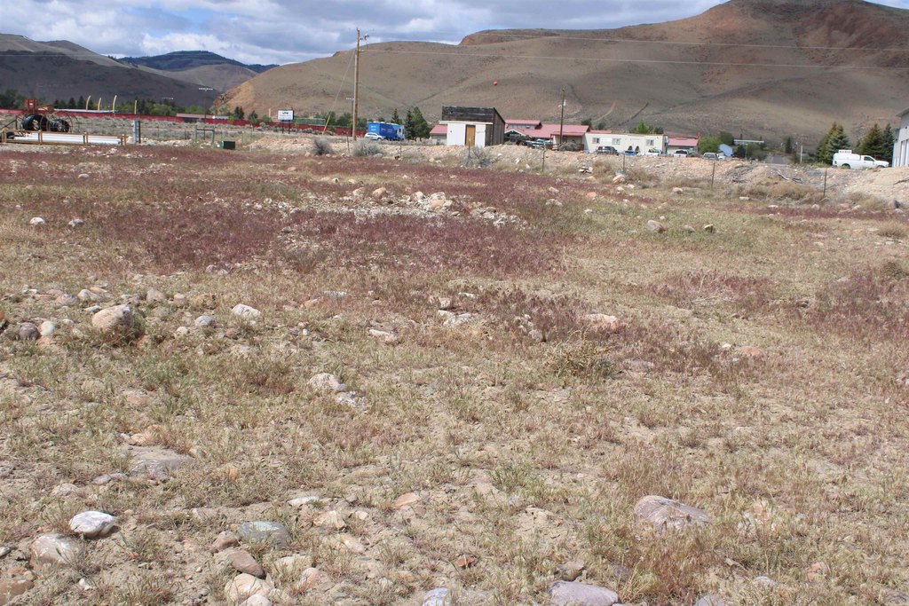 Picture 21