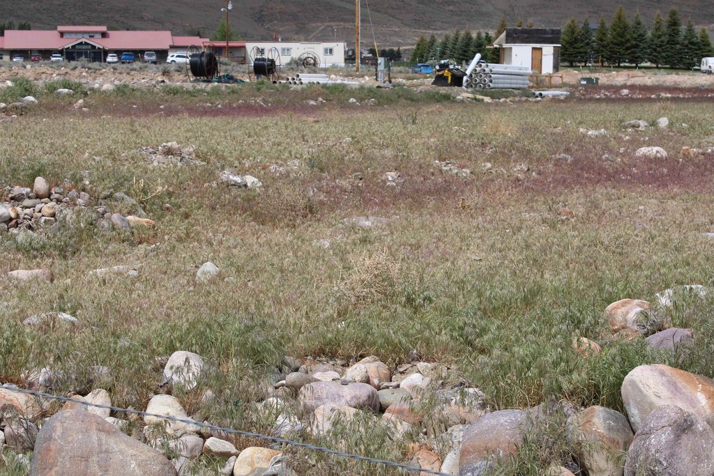 Picture 36