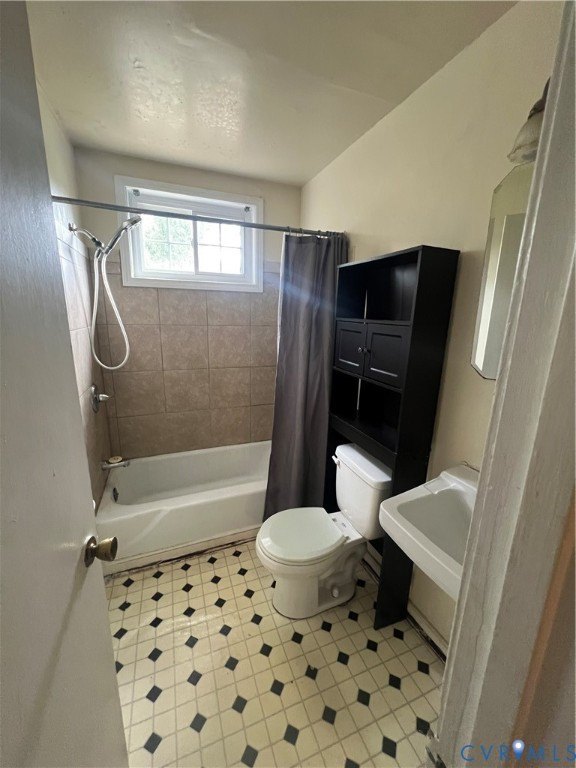 Picture 7