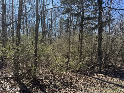 Crossville Land with Development Potential