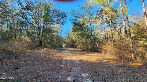 LAND - Graceville, FL