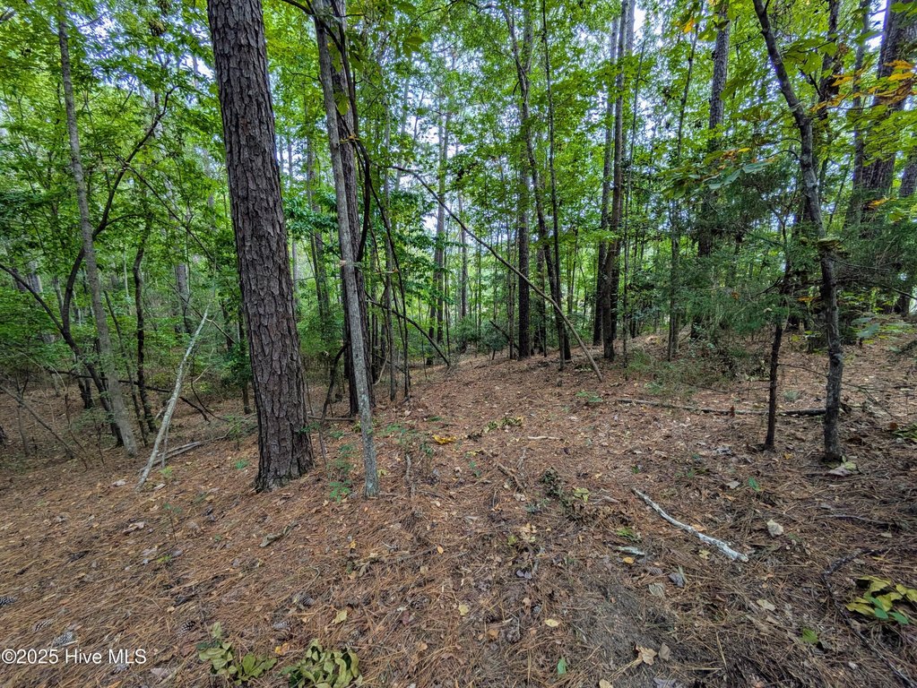 Picture 21