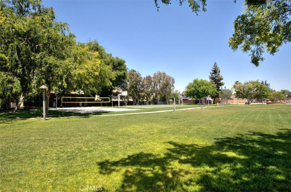 Picture 61