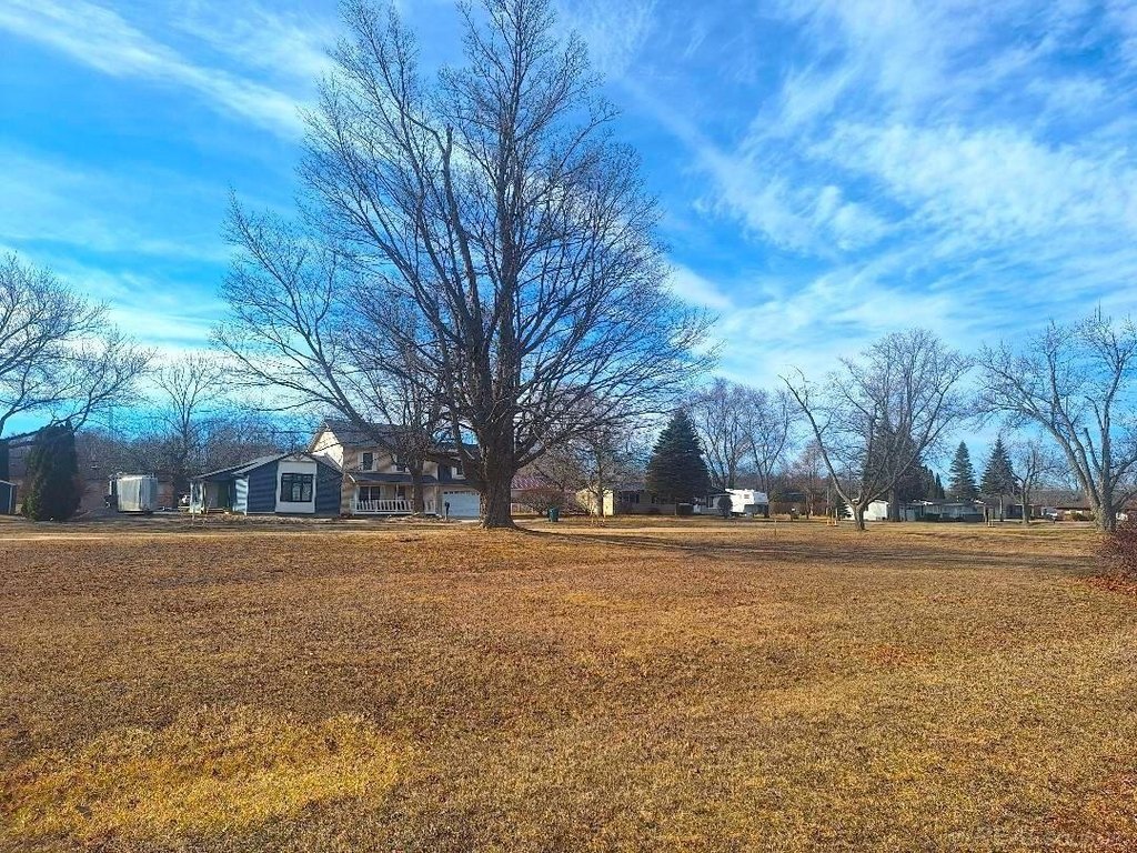 Picture 8