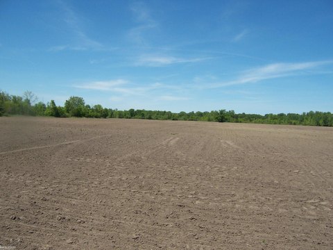 Commercial Land with Utilities at Road