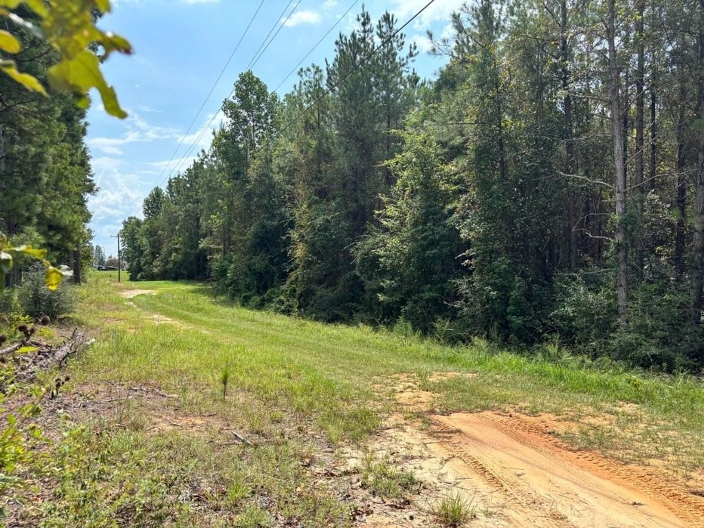 Picture 5