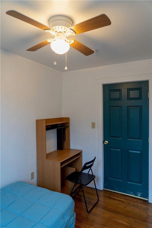 Picture 13