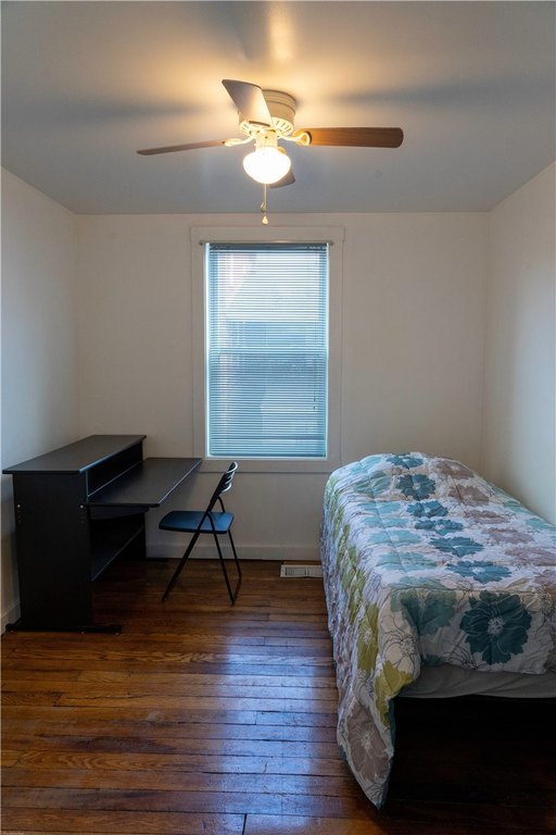 Picture 24