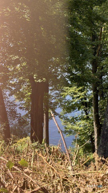 Picture 8