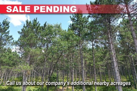 Wooded Recreational Land Homesite