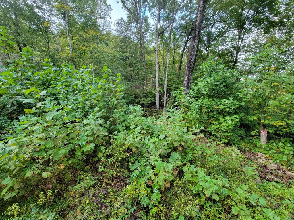 Picture 17