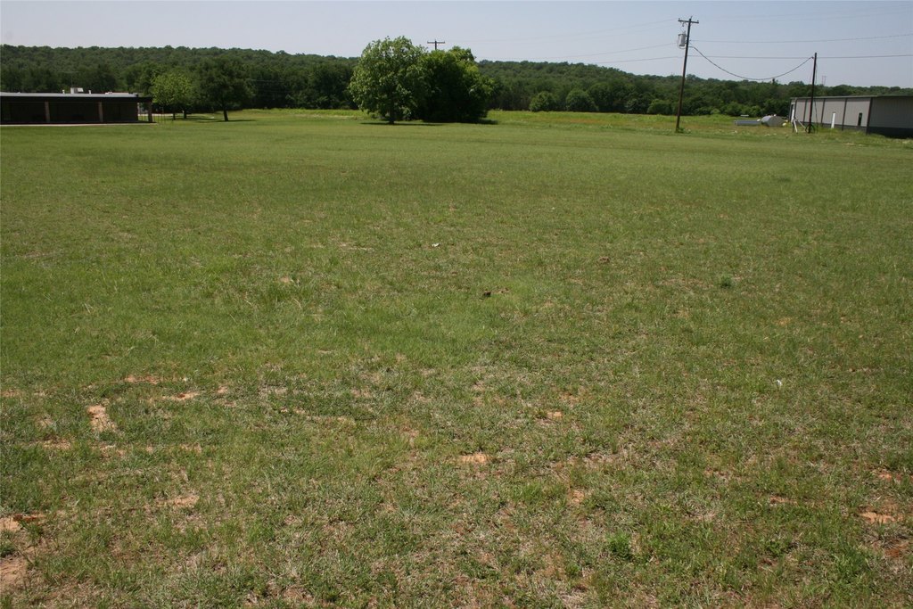 Picture 8