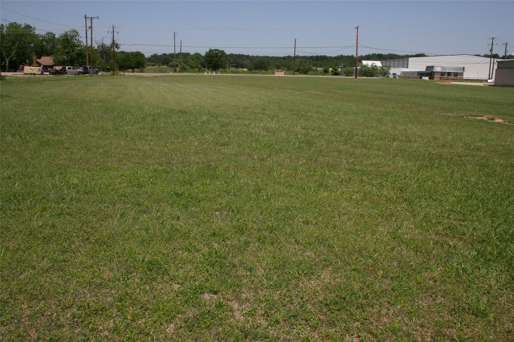 Picture 13