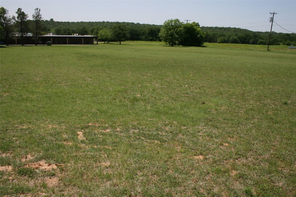 Picture 7