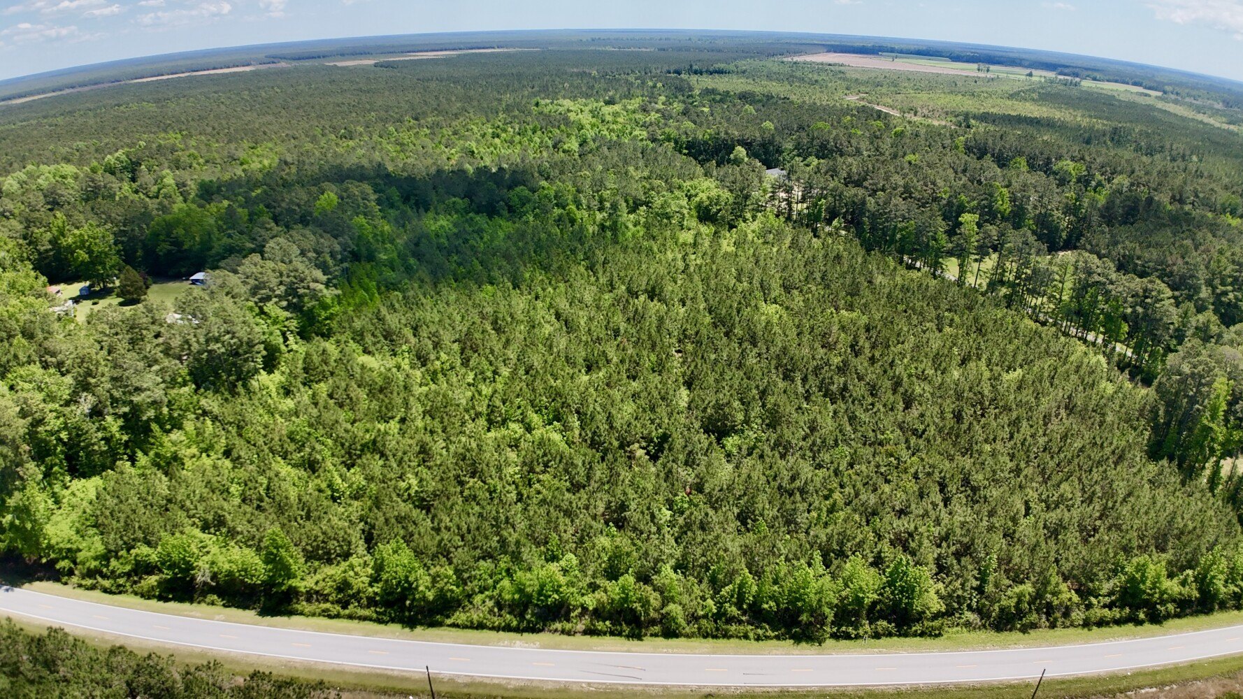 298+ Acres Timberland Near Jacksonville