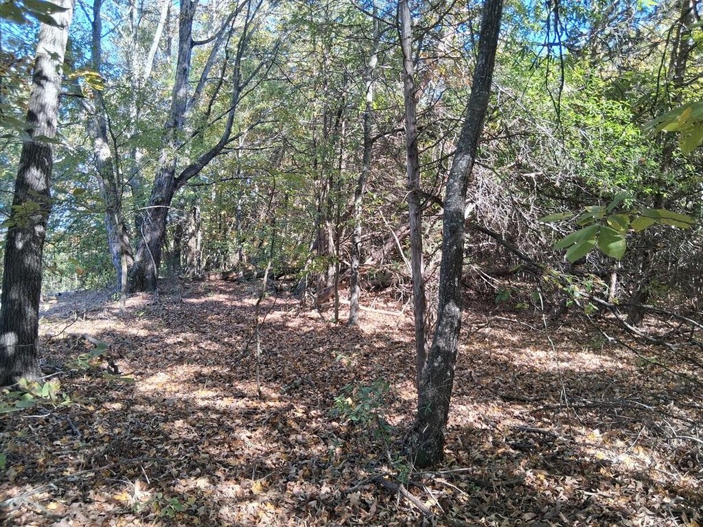Picture 18