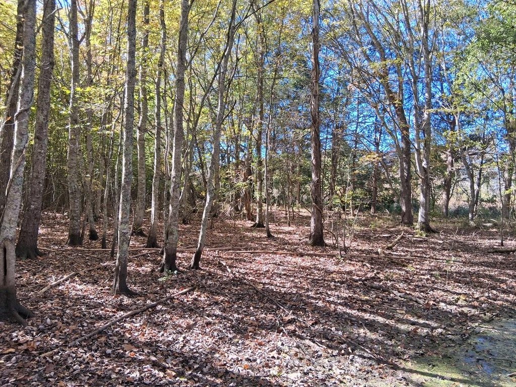Picture 16