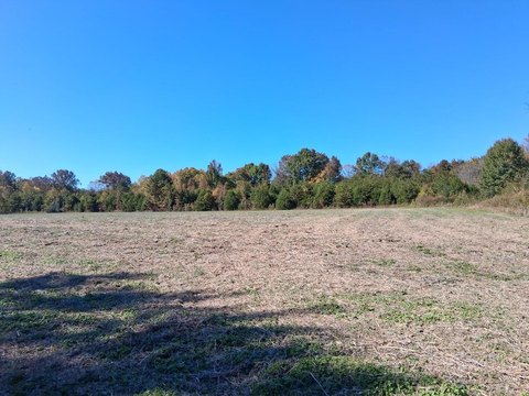 Land, Bybee, TN