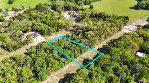 Residential Lot in Mineola, TX