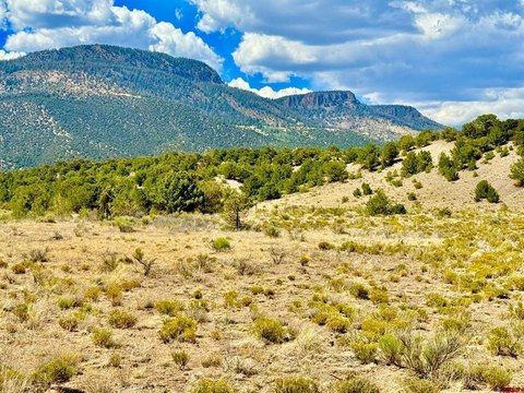 LAND - South Fork, CO