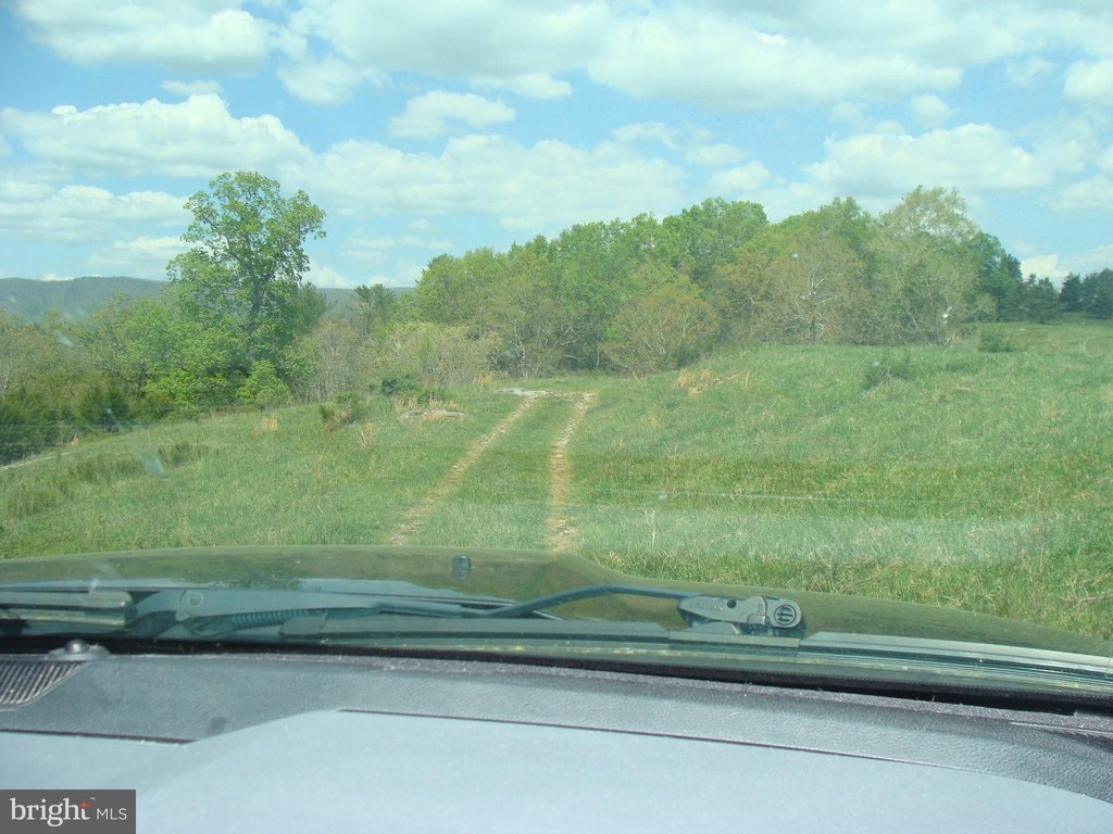 Picture 7