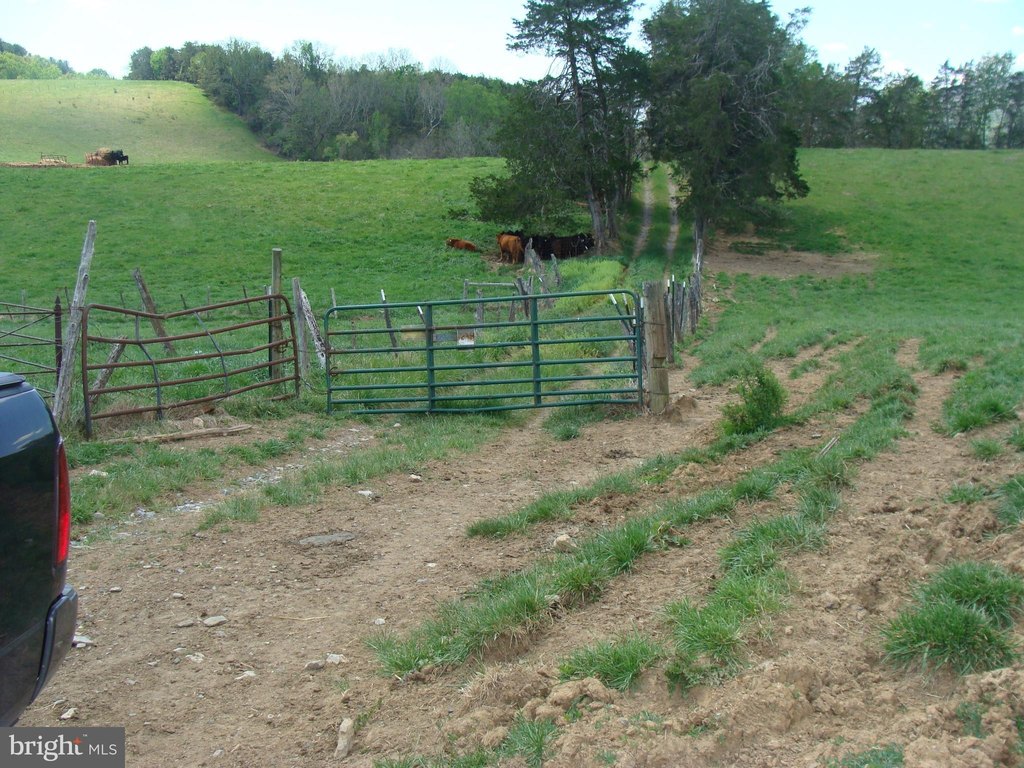 Picture 4