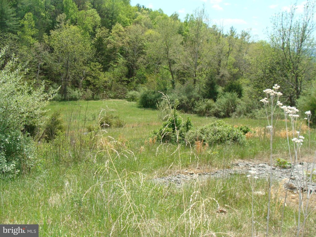 Picture 21