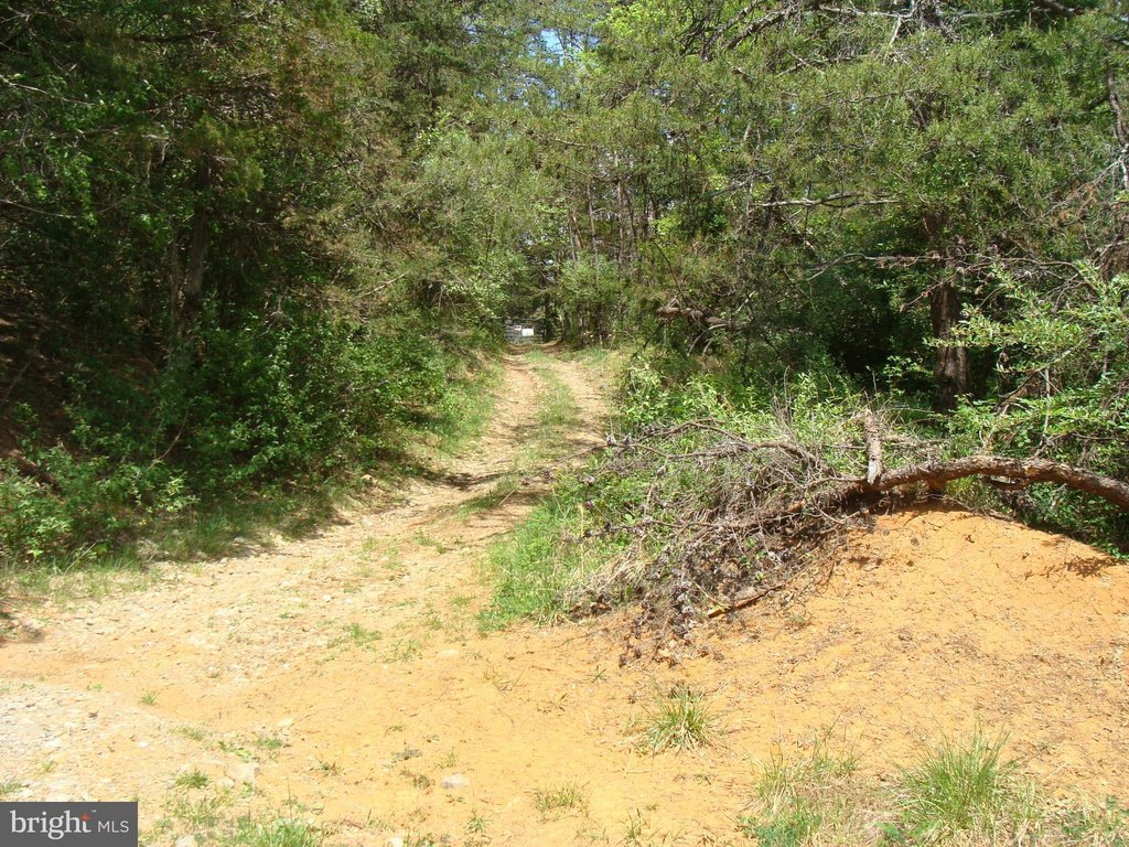 Picture 22