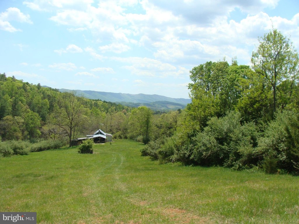 Picture 23