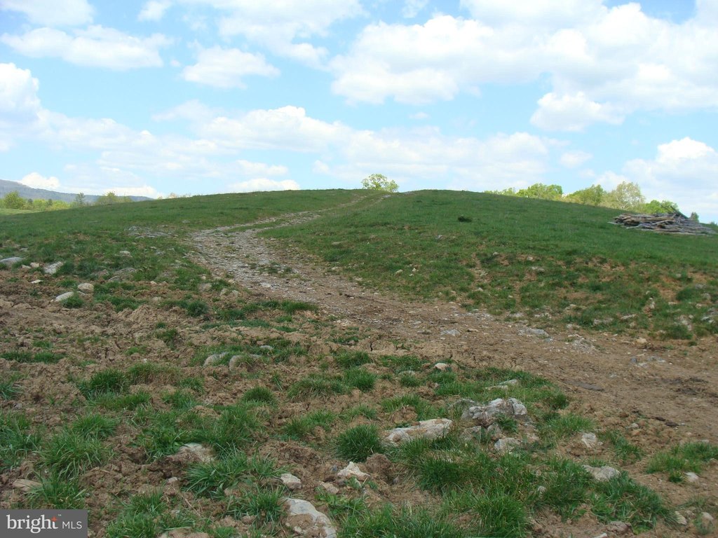 Picture 5
