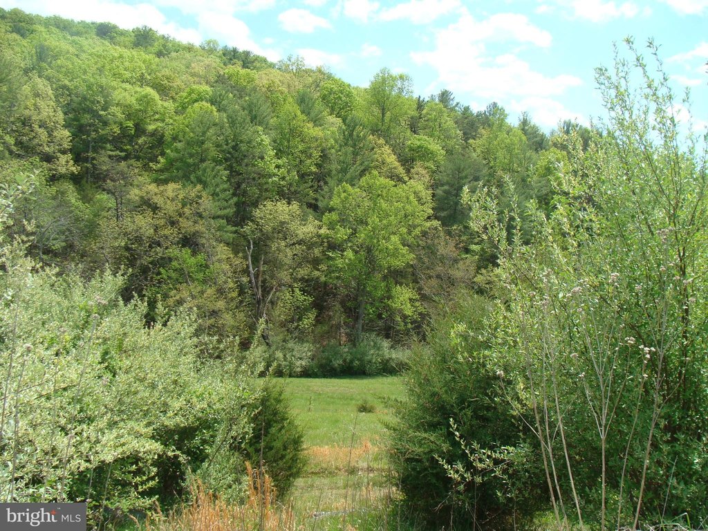 Picture 20