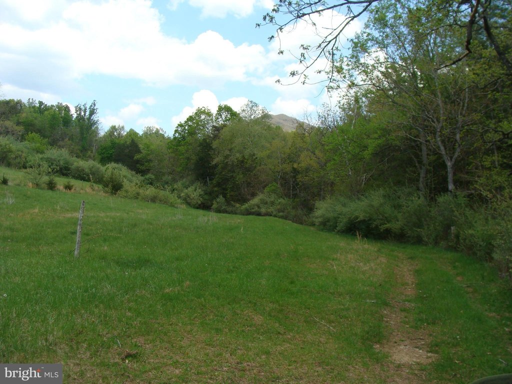 Picture 13