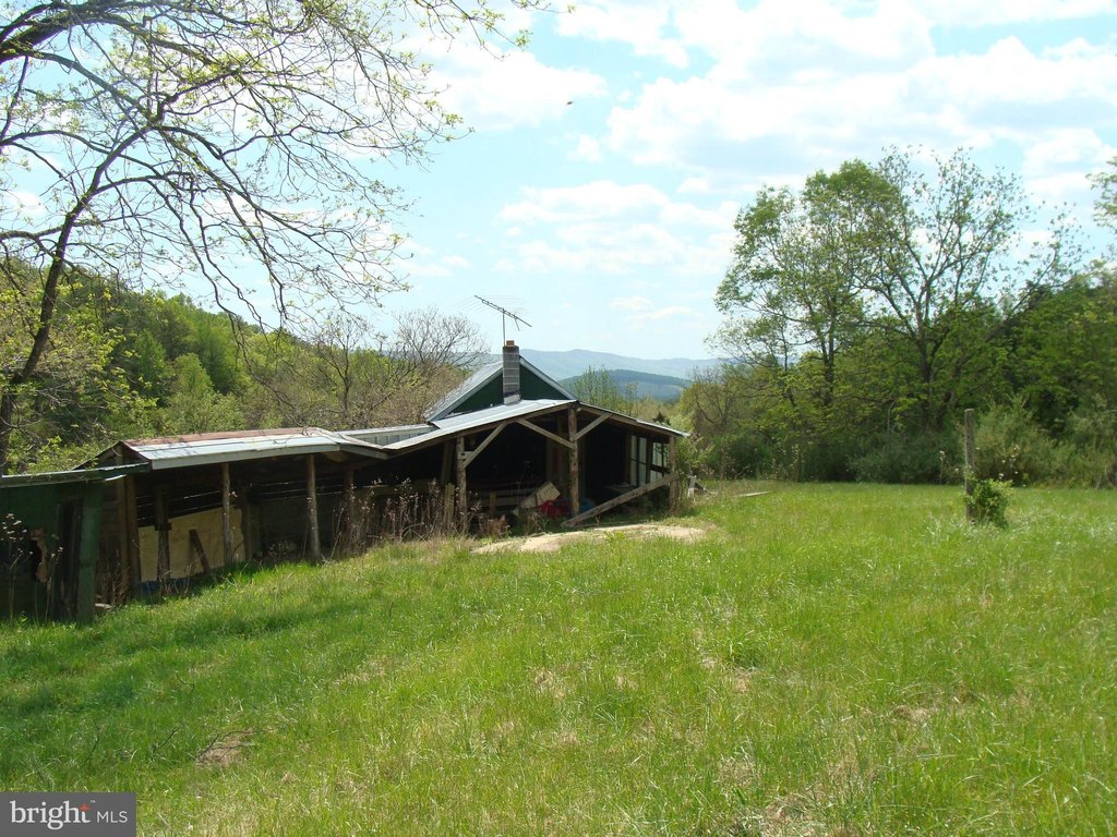 Picture 15