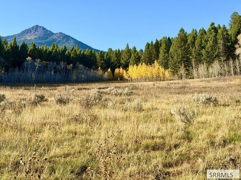 Land, Island Park, ID