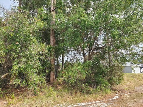 Port St. Lucie Homesite Opportunity