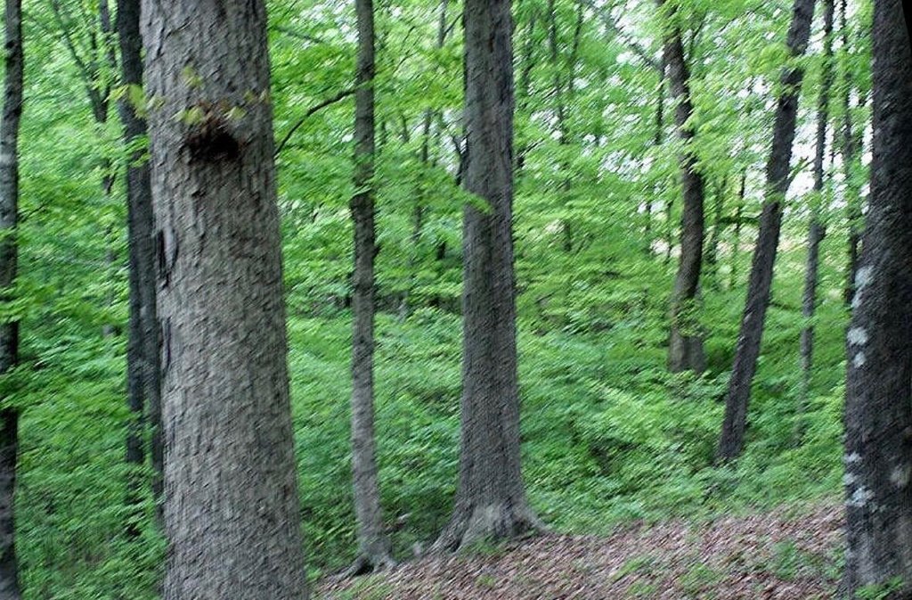 Picture 11