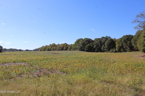53 Acres in Olive Branch