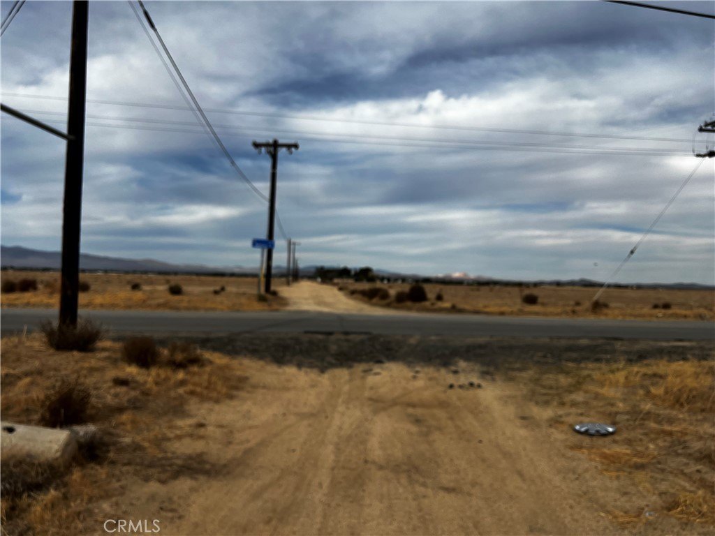 Picture 16