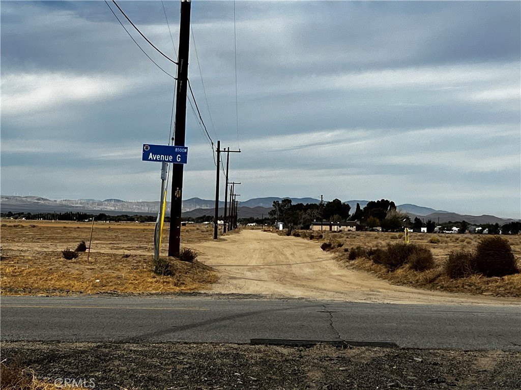 Picture 12