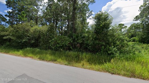 LAND - Palm Bay, FL