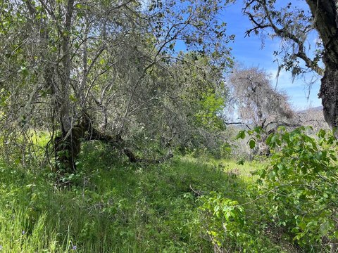 Residential Lots & Land, CARMEL VALLEY, CA