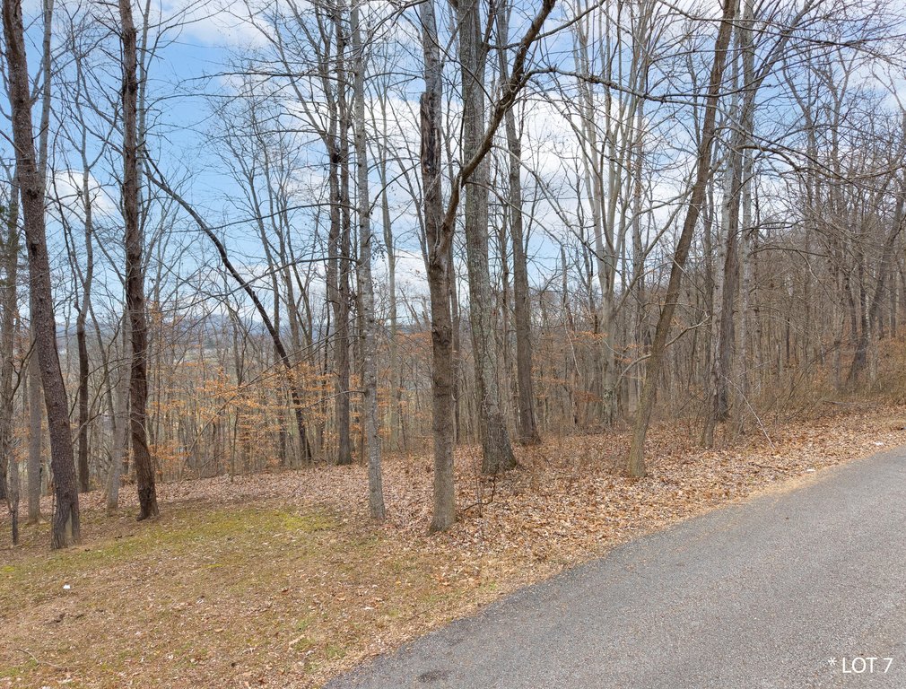 Picture 5
