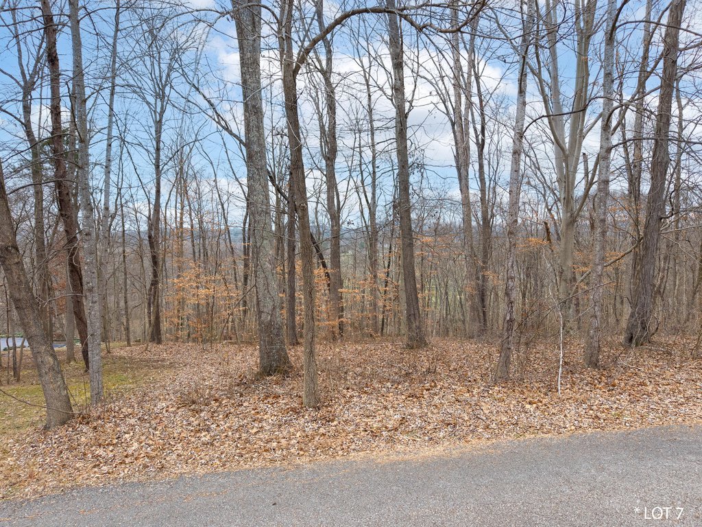 Picture 6