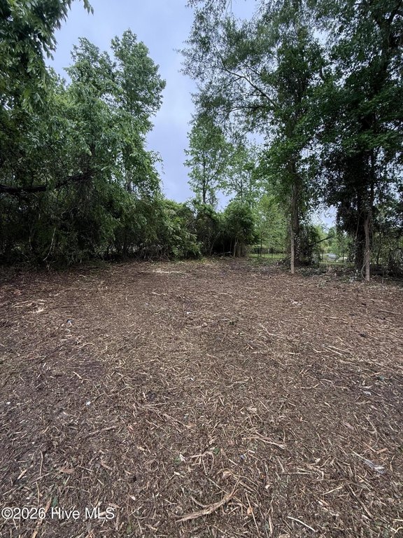 Picture 21