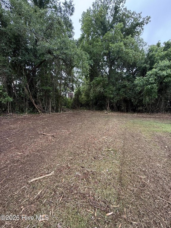 Picture 25