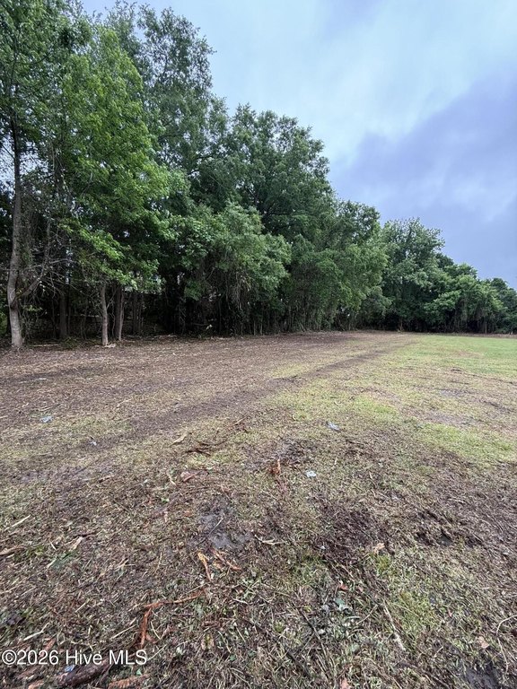 Picture 20
