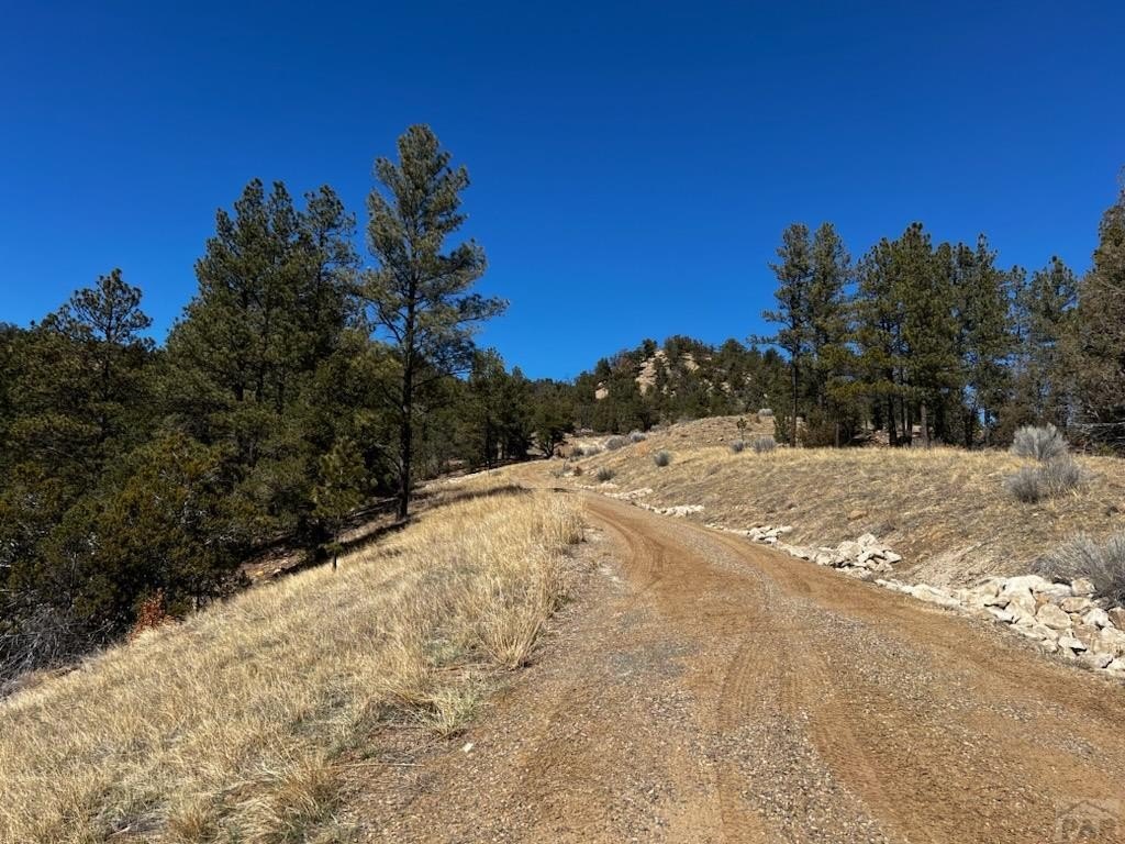 Weston, CO Hunting Land