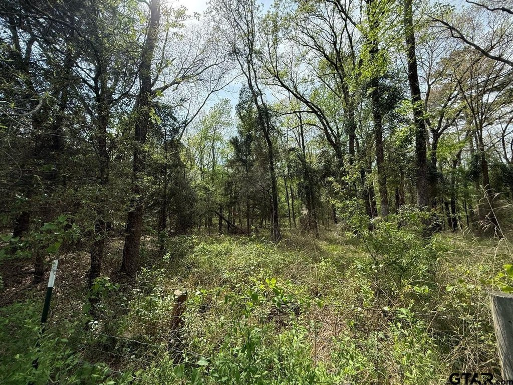 Picture 19