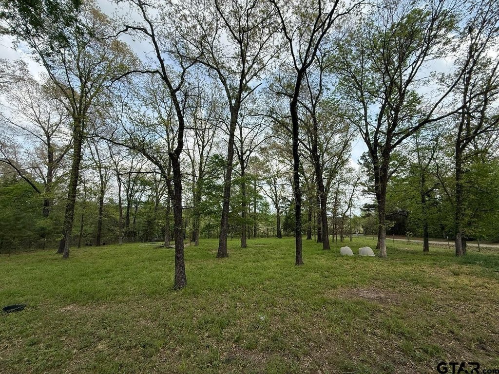 Picture 9